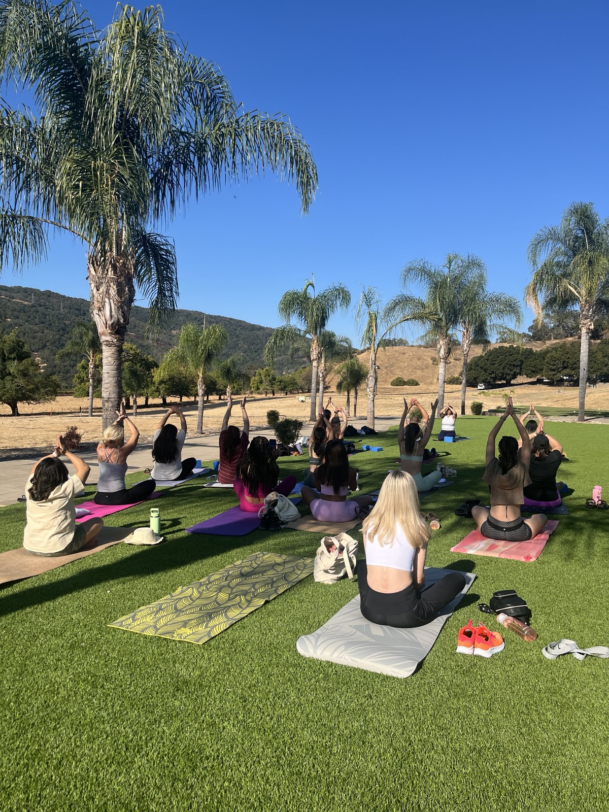 Outdoor yoga under palm trees